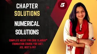 Solutions |Numericals| NCERT Based Foundation Course Series |CUET NEET JEE PGT 11th 12th