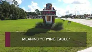 Crying Eagle Brewery Co. In Lakes Charles