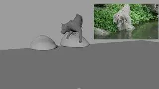 Quadruped Animation
