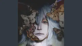 蛾