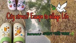 My Village Tour 🌾 | Burnout থেকে মুক্তির জায়গা | Peaceful Rural Escape | Slow Life Bangladesh