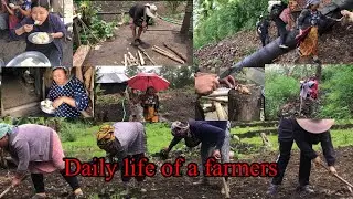 Daily life of a farmers 😍 #nagaland #village #localproducts