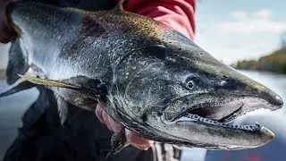 Casting for King Salmon - In-Depth Outdoors TV Season 13, Episode 17