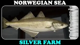 NORWEGIAN SEA - Pollock Silver Farm - Russian Fishing 4 - RF4