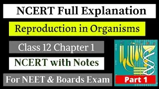 Reproduction in organisms Class 12 NCERT explanation for NEET/Boards examination | NCERT with NOTES