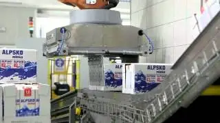ROBOTEH palletizing solution in dairy industry