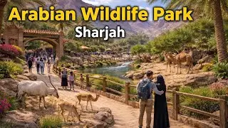 Arabian wildlife park 🏞️ | Sharjah | #weekend vlog 