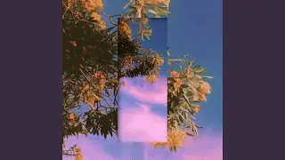 The Afterlight