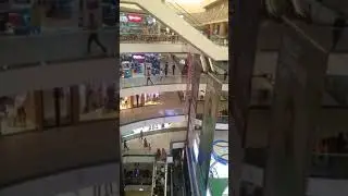 DB Mall MP(2)