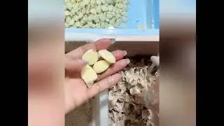 Peeling garlic is very stress relieving剥蒜很解压#decompression