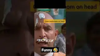 crow life poop on head of man  #crowpoop #birdcomedylife #globalsmileyshow