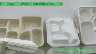 Compostable food packaging container restaurant takes out disposable lunch box China