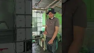 Sigatoka control proper chemical mixing #farming101 #farminginvestment 