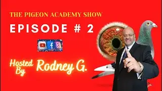 EPISODE # 2: PIGEON PROMOTIONS FOR 2022.