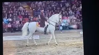 Verabschiedung von Siglavy Mantua 1–73 in Piber im Solo unter seinem Reiter Klaus Krzisch 2003
