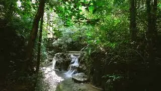 natural features