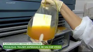 Transfusão de plasma sanguíneo pode salvar pacientes com covid-19