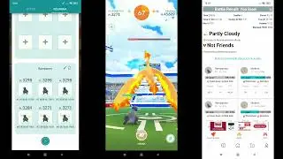 The OG Moltres Solo (no shadows, no XL, no megas, no relobby, no BB)
