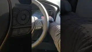 RAV4 school 