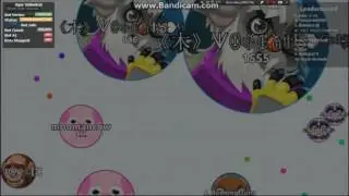 Agar.io Bots After Patch??