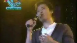 Quang Vinh - Nỗi Đau Một Đời