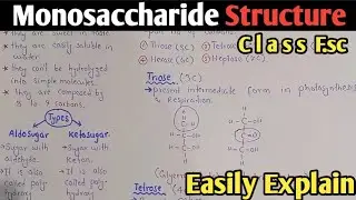 Monosaccharide Structure In Urdu Hindi | Chapter Biological Molecules | Class 11 Biology