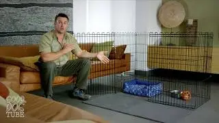 A Puppy Safe Home Good Dog Tube