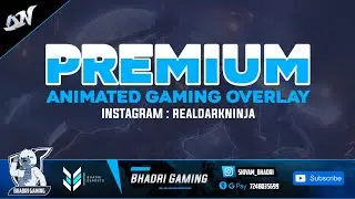 Premium Animated Gaming Overlay for Customer | Instagram : realdarkninja