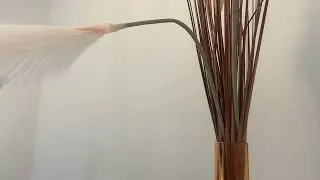Feathers make me sneeze!