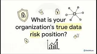 DataWyse - Database Security Audit