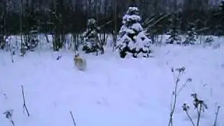 MOV02635