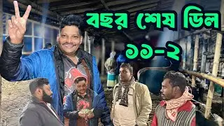 বছর শেষের রেকর্ড! গাবতলী হাটে ১১টি দেশাল ষাঁড় নিলেন আকরাম ভাই | ১ লাখ ৫৫ হাজারের দানব গরু