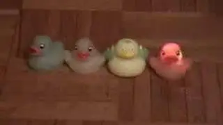 Light up ducks