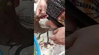 আমার রাজকন্যা  আমার সাথে কাজ করে🫰❤️