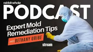 Expert Mold Remediation Tips with Bethany Uribe from ASAP Restoration