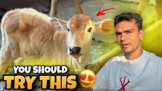 You Won't Believe What a Day in an Indian Village is REALLY Like | DAILY VLOG 