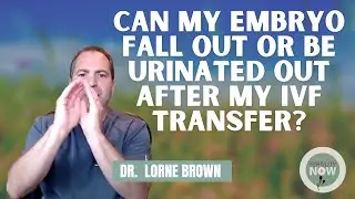 Can My Embryo Fall Out Or Be Urinated Out After My IVF Transfer?