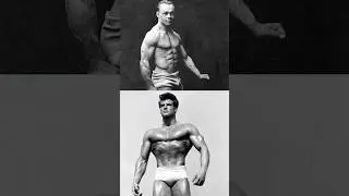Bronze vs Silver Era AESTHETICS