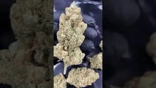 Fleur Money Maker CBD Indoor &ndash; Qualit&eacute; Premium, Effets Relaxants, Ar&ocirc;mes Puissants
