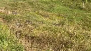 Pakistani Militant Captured, Another Killed During Counter-Infiltration Operation In Uri Along LoC