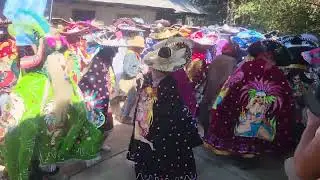 Parada de bandera Camarones 2026 🦐🎭