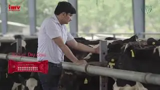Oligovet Dry Cow