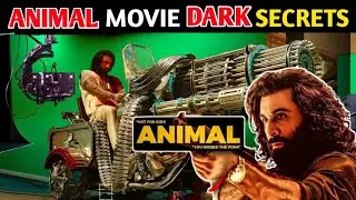 10 Secret Facts You Didn't Know About Animal | Animal Movie Post Card Scene | Animal Movie | #animal