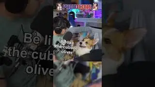 Be Like Cubone But.... #corgi #streamer #cubone #pokemon #pokemoncosplay