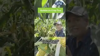 2025 Pro Farmer Crop Tour | Follow Along with Tim Gregerson