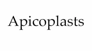 How to Pronounce Apicoplasts