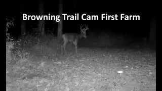 Browning Trail Camera Deer Activity First Farm