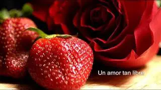 A Love so Beautiful - Michael Bolton (Subtitulo Español) *❤*