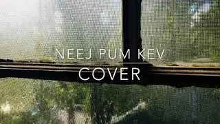 Neej Pum Kev - Halo Zong (Cover)
