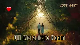 ❤️ Dil Mera Tere Naam | Hindi Romantic Song with Romantic Feels | Heart-Touching Melody 💖